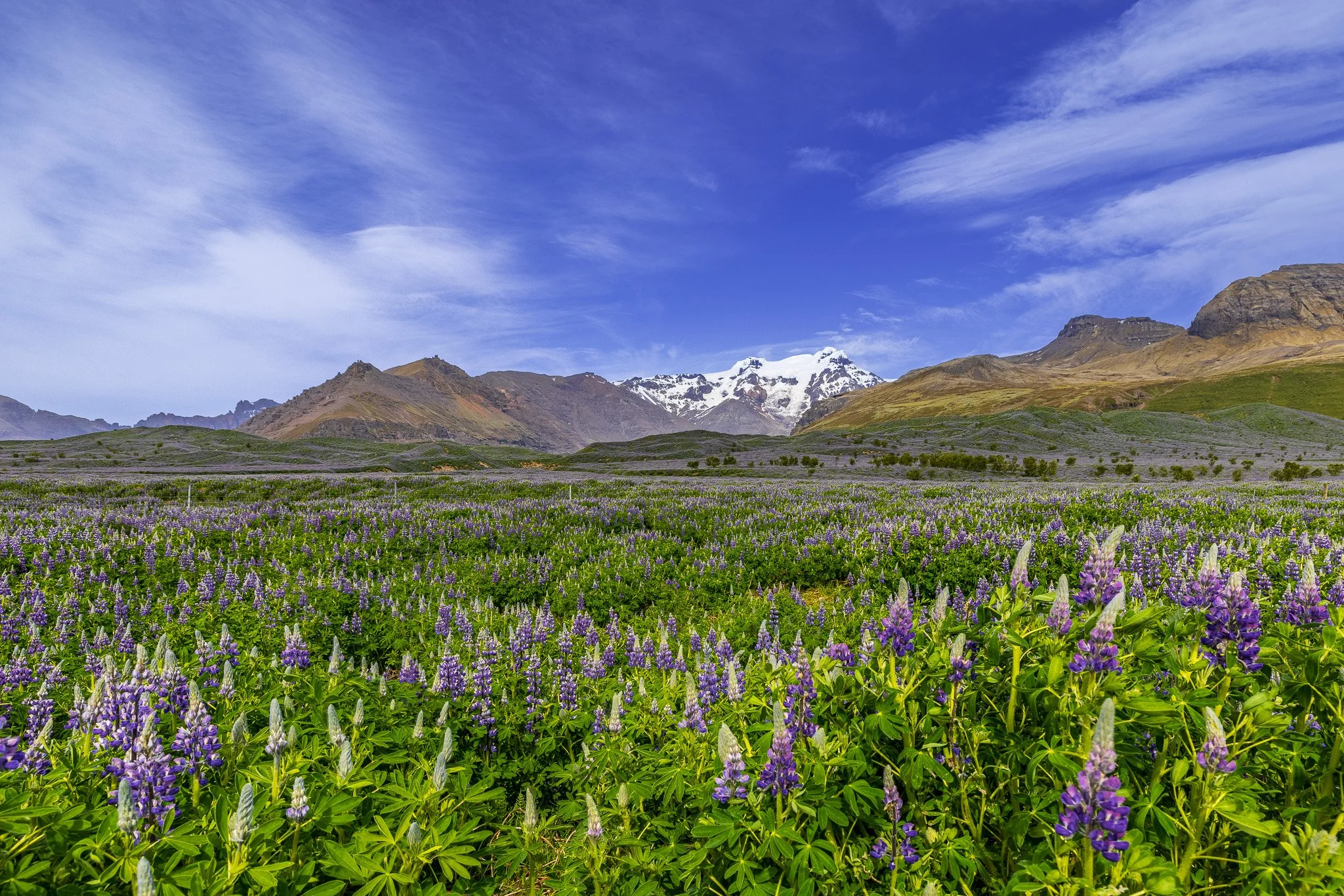 The Best Places to Travel and Photograph in July | Chasing Hippoz